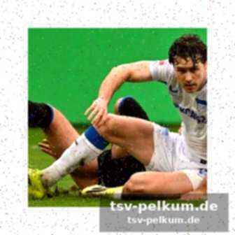 Leitl versucht es mit wechseln