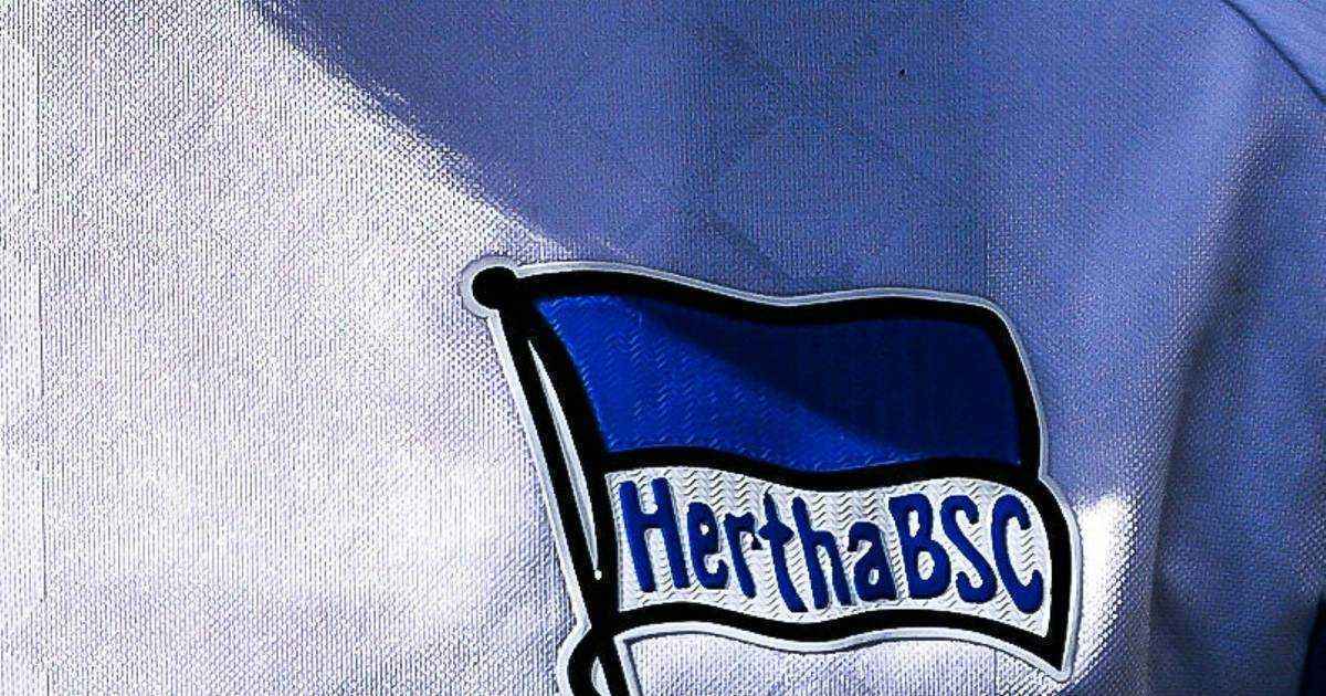 Dresdner chaos überschattet hertha-pläne