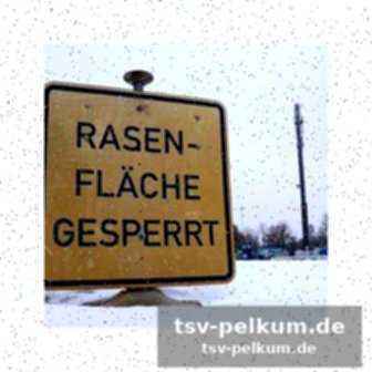 Was es braucht: der weg ins finale und darüber hinaus