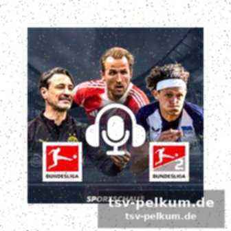 Die stimmen zum spiel