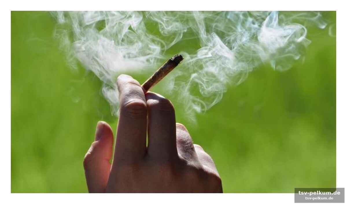 Die erschreckende wahrheit über cannabis und das herz