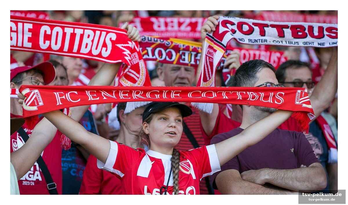 Mehr als 300 fans gesucht: cottbus setzt auf zweitliga-euphorie