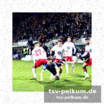 Halbfinal-ausblick und dfb-pokal-qualifikation