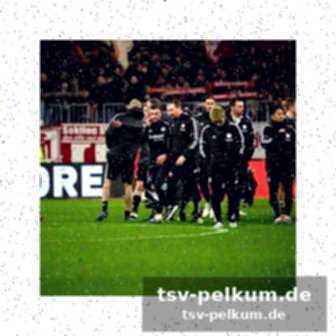 Knapp verpasstes podium für kalicki