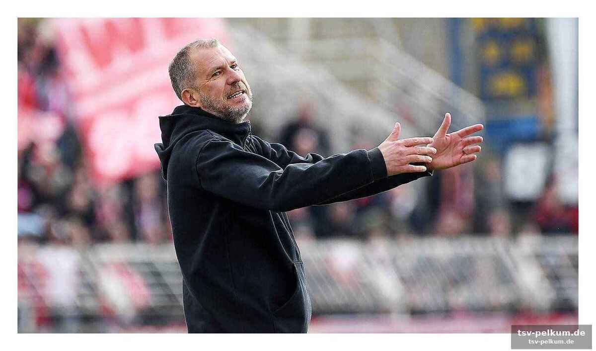 Halle am limit