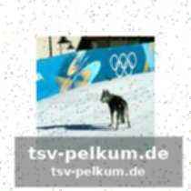 Freude und teamgeist
