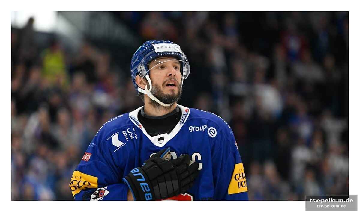 Teamgeist als schlüssel zum erfolg