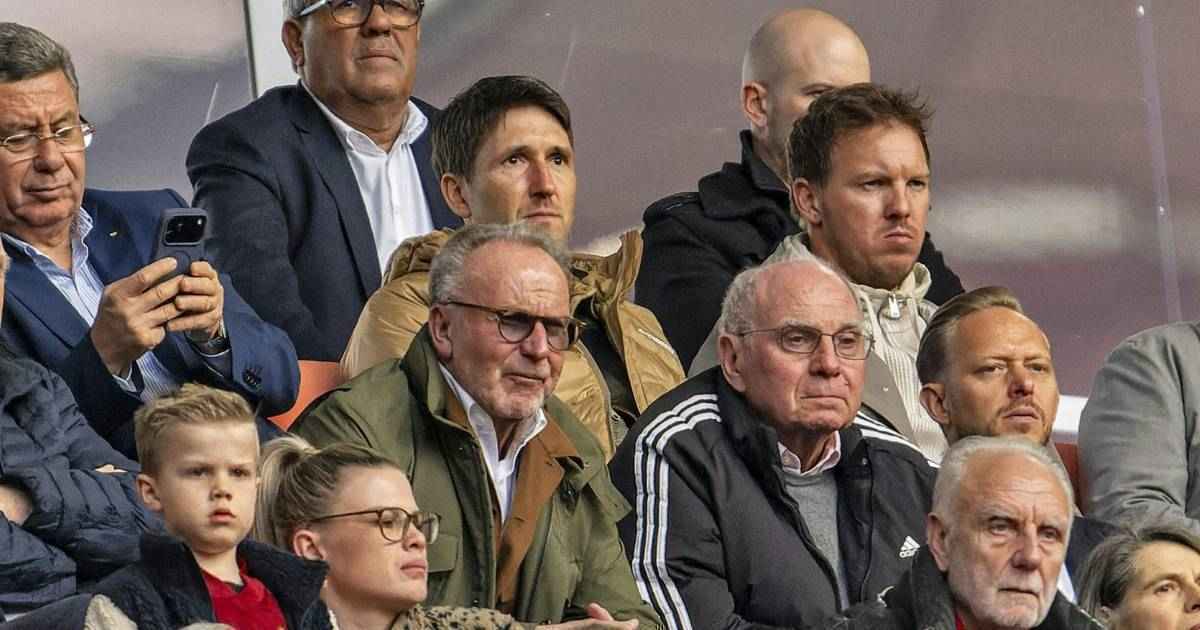 Hoeneß und nagelsmann: aussprache am pokalfinale!