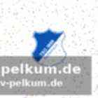 Hoffenheim will in köln überzeugen