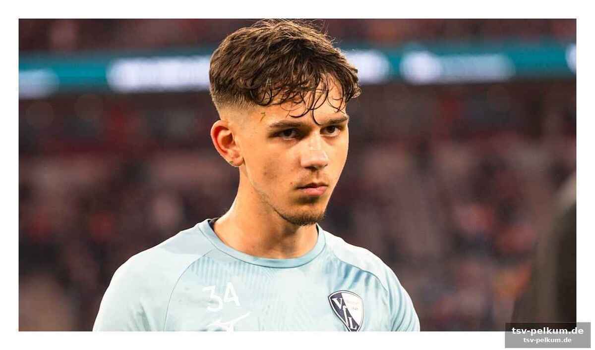 Hoffenheim als magnet für junge talente