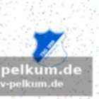 Ein glücksfall für die tsg
