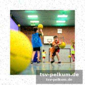 Champions league rückt näher: die tsg auf kurs