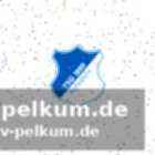 Hoffenheims restprogramm