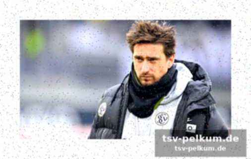 Nächster gegner: schalke 04