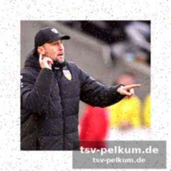 Aktuelle form von holstein kiel