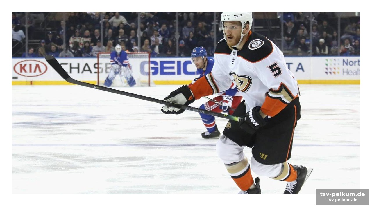 Ein leben zwischen nhl und europa