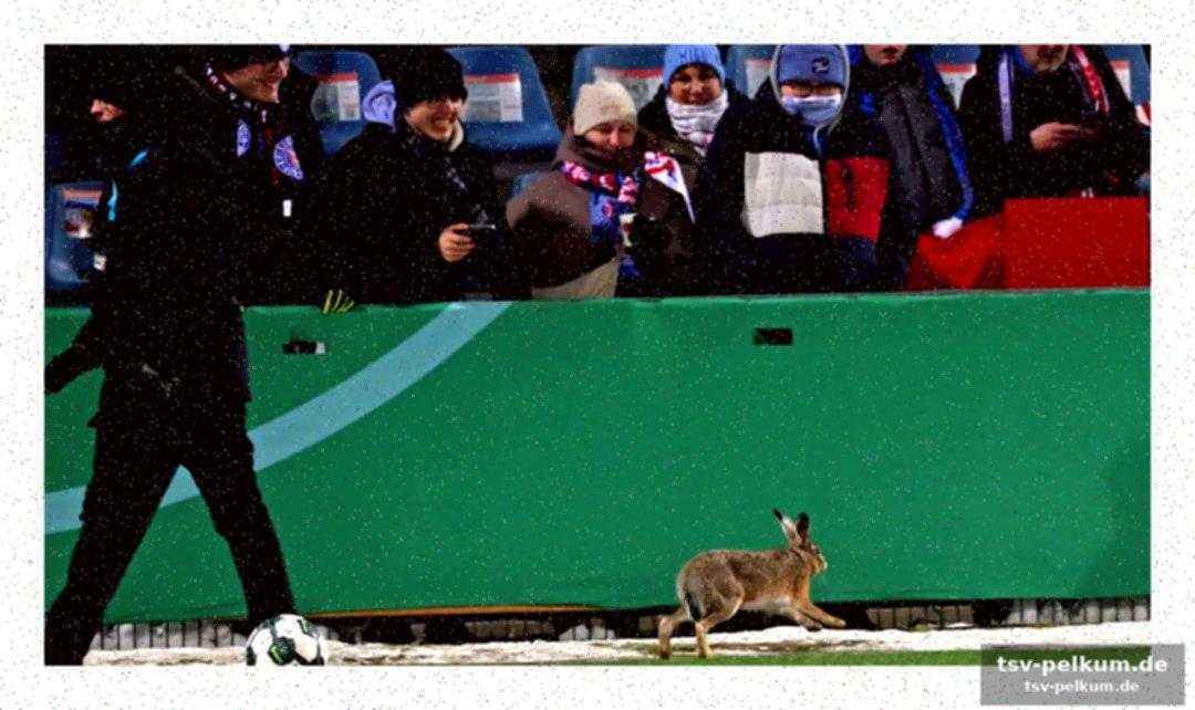 Der plötzliche auftritt des hoppenden fußballfans