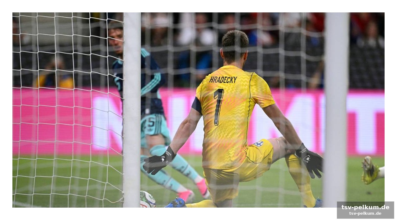Qualität und vorbereitung: warum hradecky auf deutschland setzt