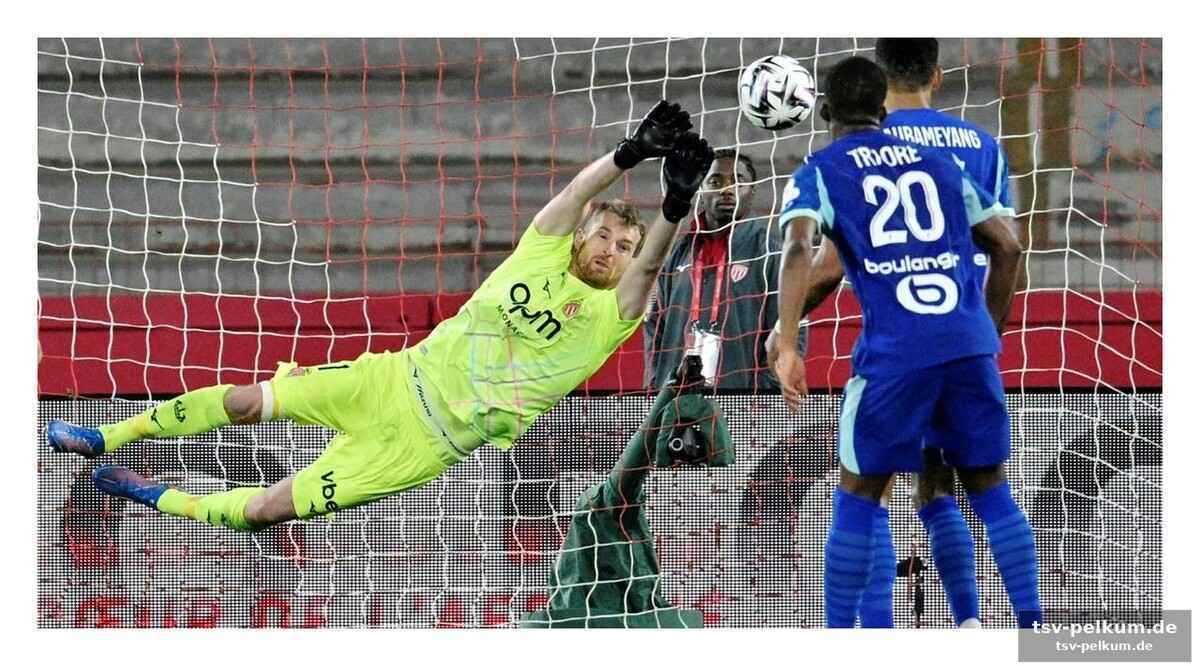 Erfahrene kräfte und bundesliga-legionäre