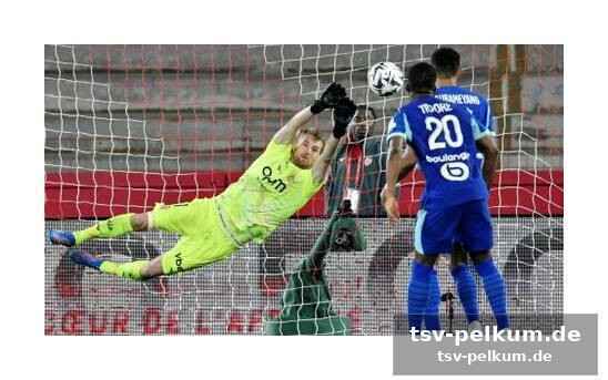 Die wm-saison im blick