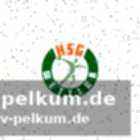 Spielinfo: tsv hannover-burgdorf vs. hsg wetzlar