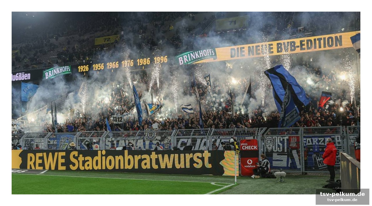 Pyro-zeugnis: eine eskalation im signal iduna park