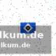Starke leistung von heuer-fernandez