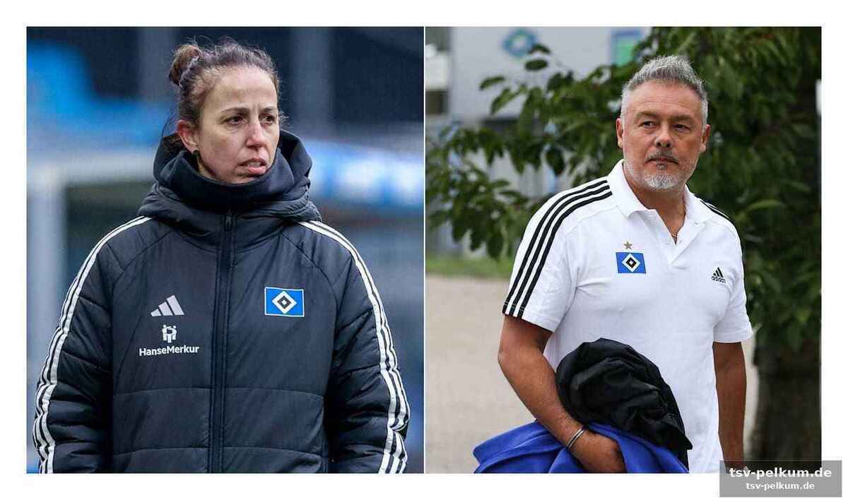 Rodolfo cardoso übernimmt das ruder – doch reicht er?