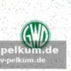 Debüt gegen die mt melsungen