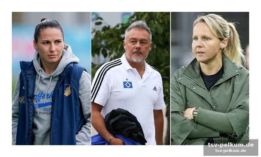 Cardoso – eine übergangslösung mit großer wirkung