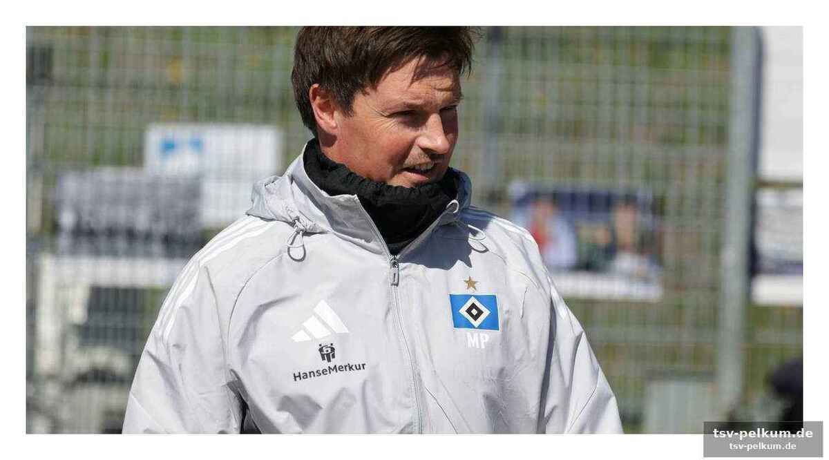 Hoffenheim auf rekordkurs – hsv muss sich wehren