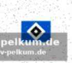 Auswirkungen auf capaldo und die defensive