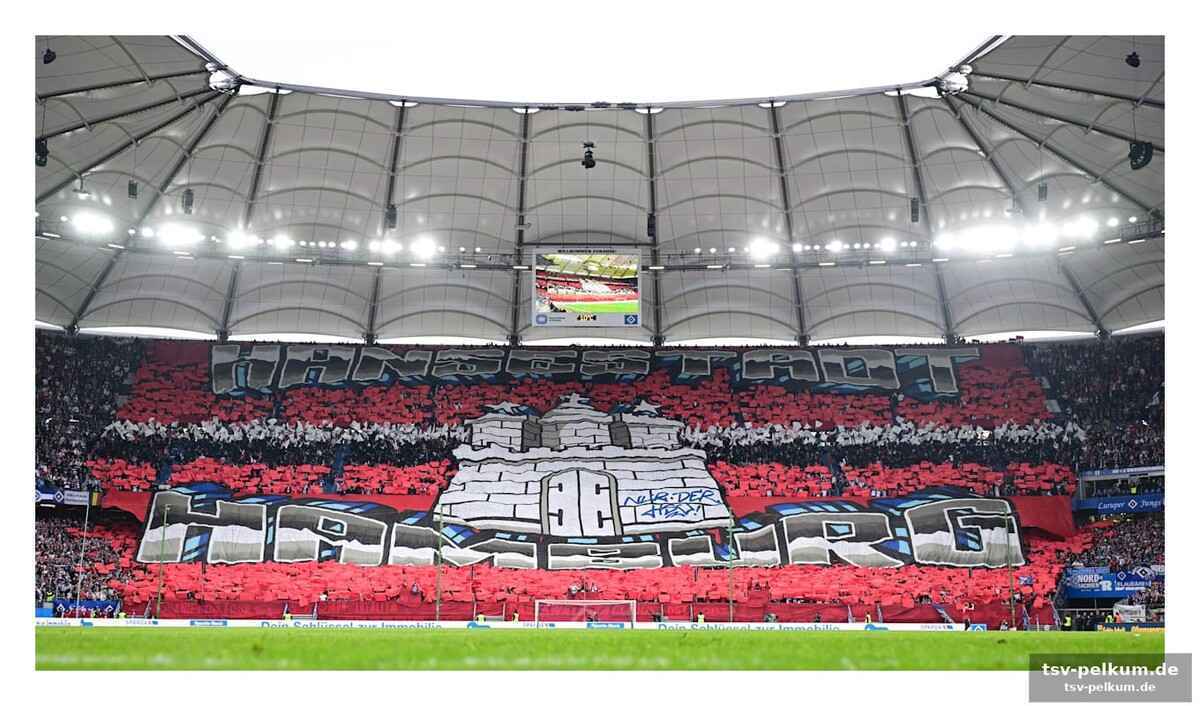 Hsv investiert millionen in die arena