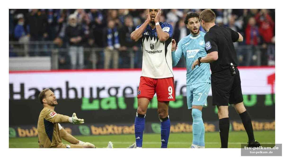 Die tsg hoffenheim träumt von der champions league