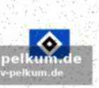 Otele freut sich auf den hsv