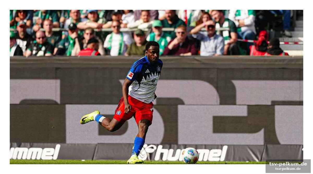 Die entscheidung des dfb-sportgerichts: ein rücksichtsloses foul