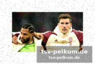 Bleibt vuskovic in hamburg?
