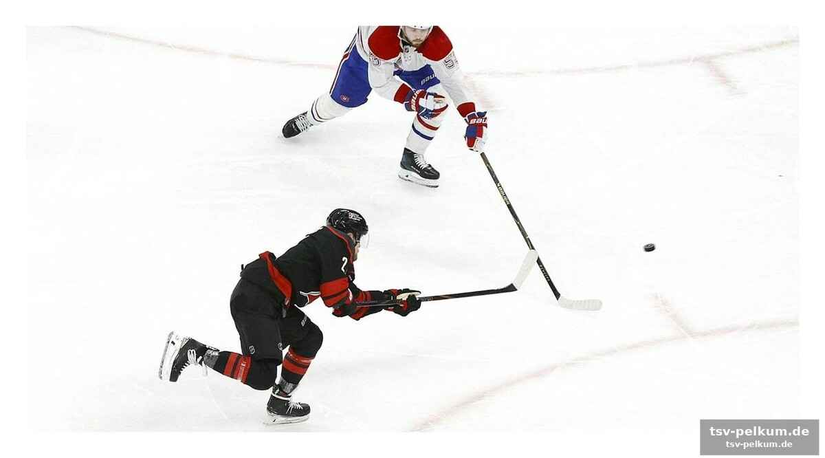 Die canadiens