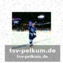 Lob vom general manager