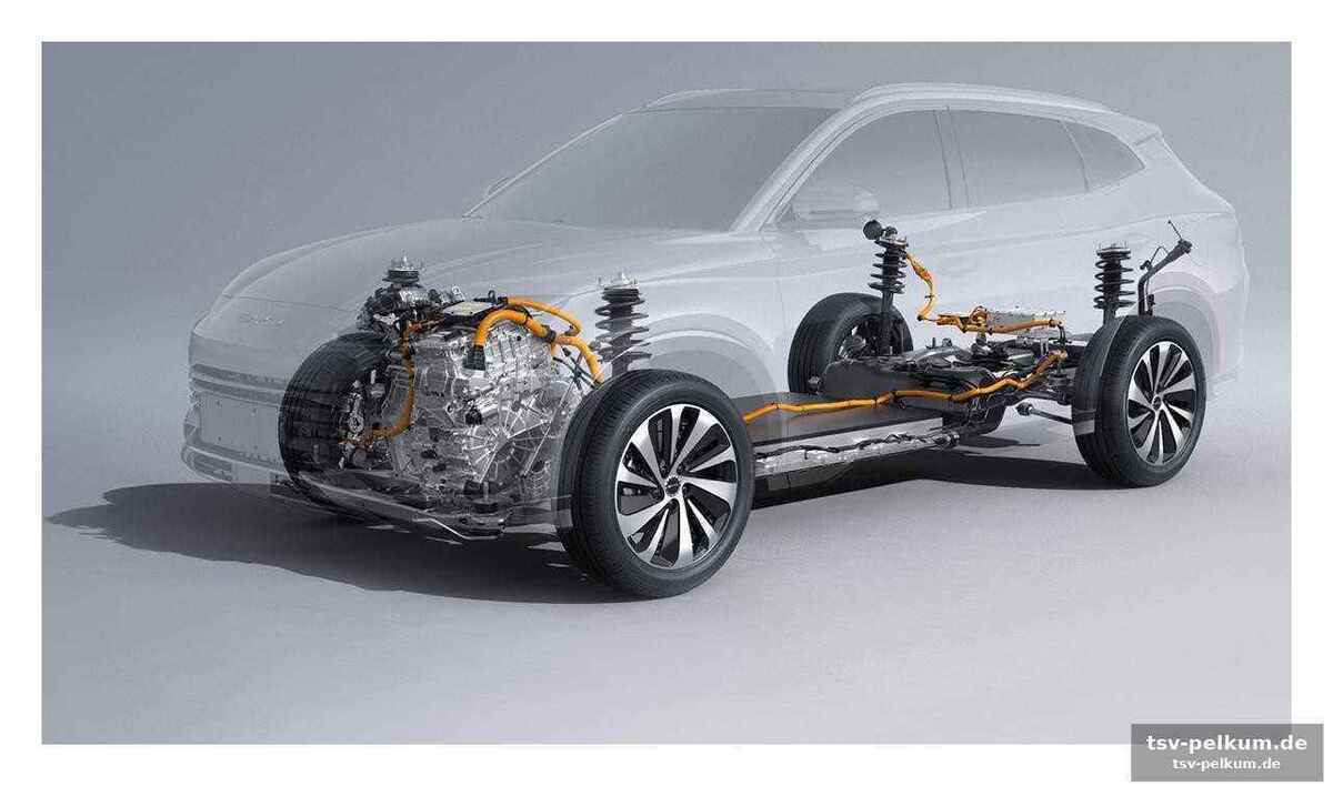 Die grundlagen: mild, full und plug-in – was ist der unterschied?