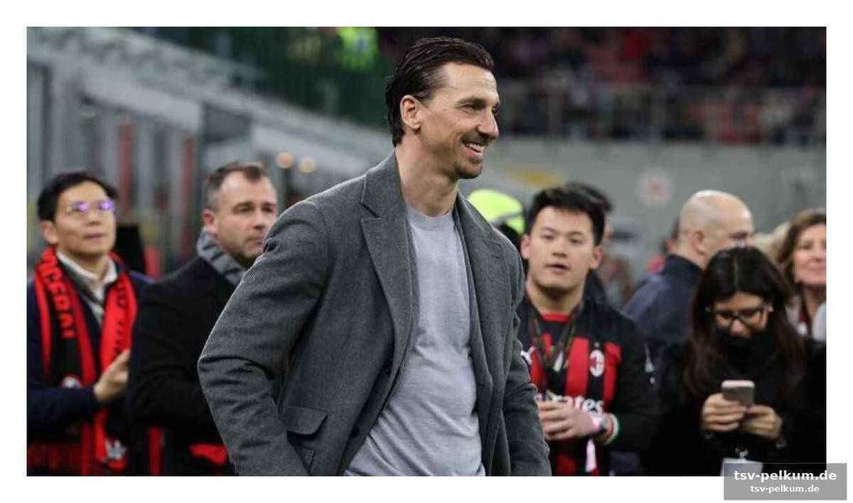 Cardinales blitzartige besuche und tare
