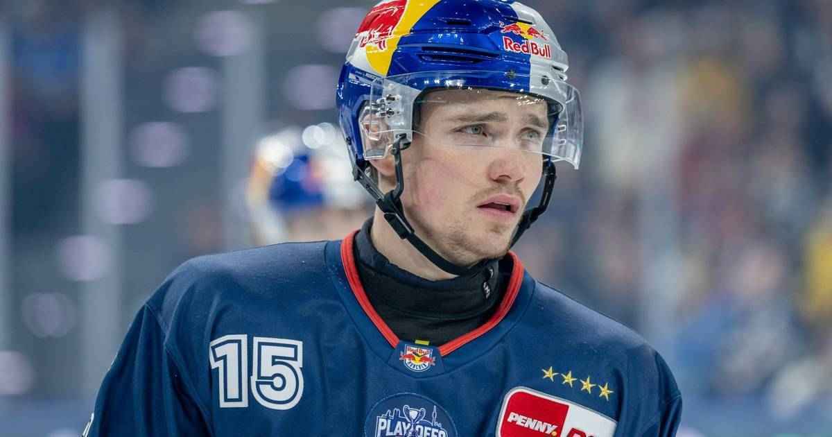 Ice tigers verstärken angriff: heigl-brüder in nürnberg vereint!