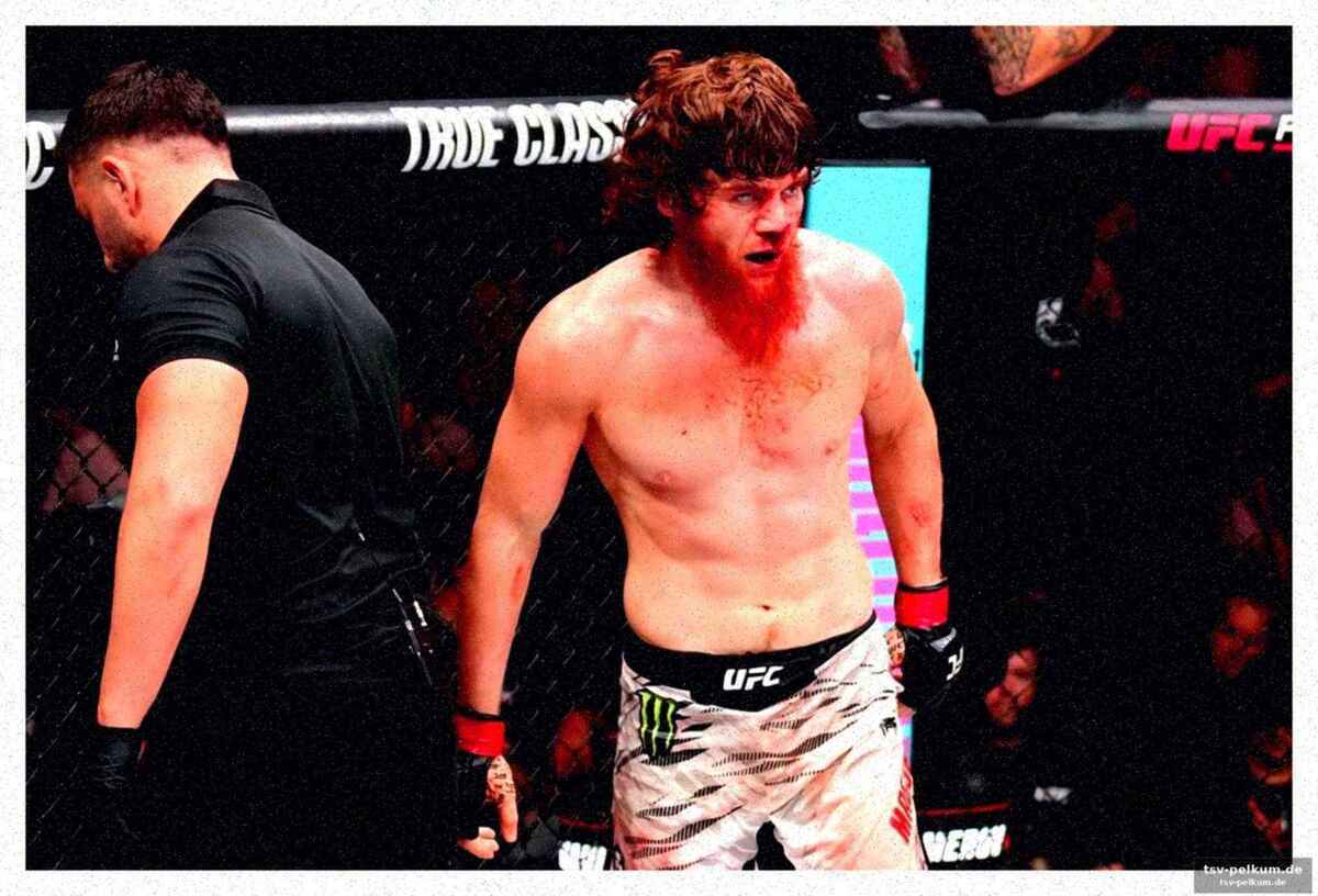 Die kritik an volkanovski, holloway und oliveira