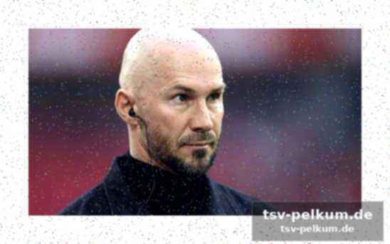 Ilzer: trainer und sportdirektor als leitplanken