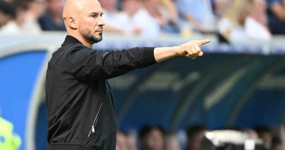Ilzer schickt hoffenheim mit vollgas in die champions-league-kurve