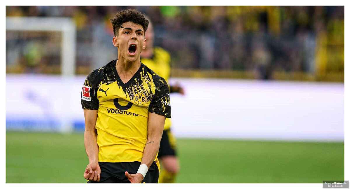 Ein platz im sturm? brandt