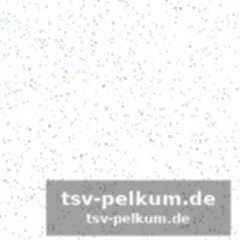 Das preisgeld-roulette