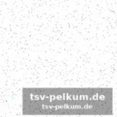 Ungewöhnliche einlasszeremonien und europäisch anmutende fanartikelstände