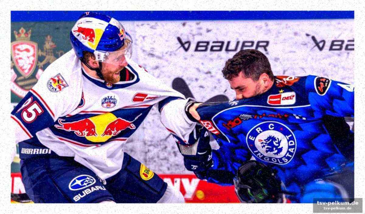 „Das hat nichts mit eishockey zu tun“