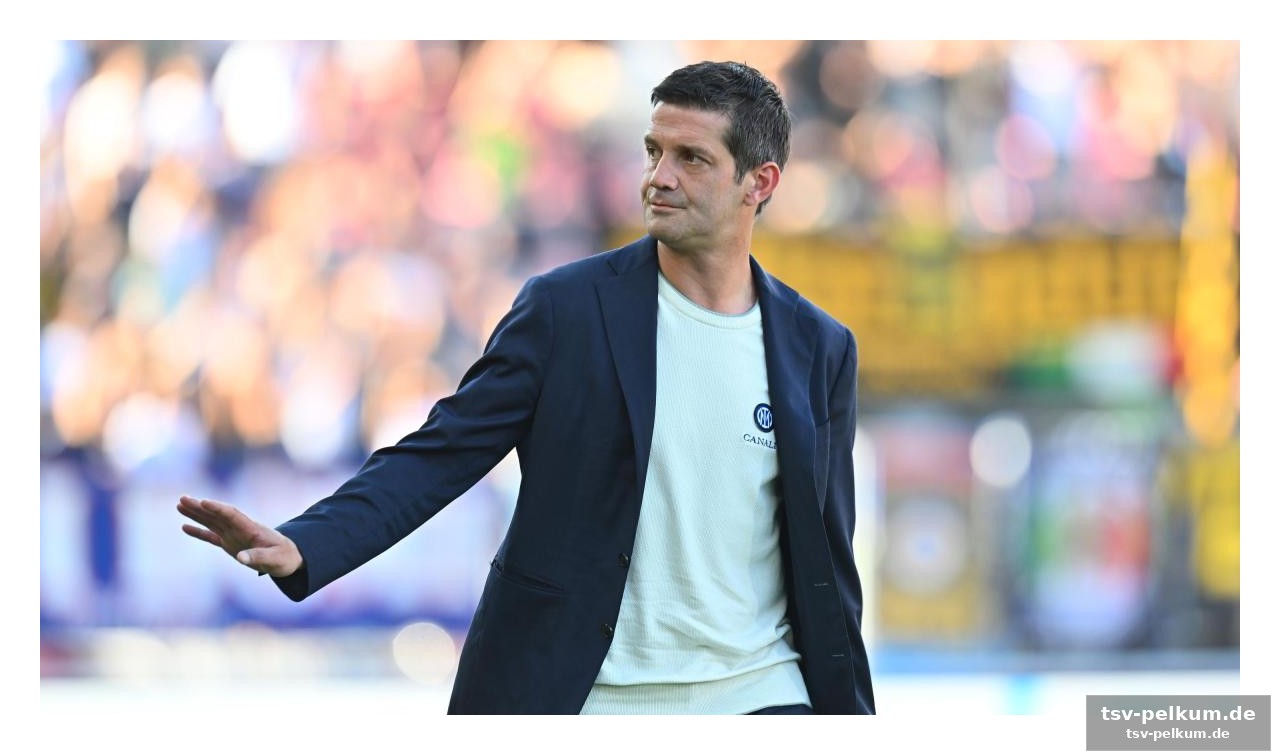 Chivu: „jeder spieler hat sich reingehängt“